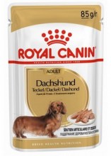 royalcanindachshundadultpouch0001