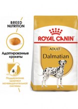 royalcanindalmatianadultdry0002