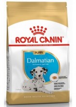 royalcanindalmatianpuppydry0001