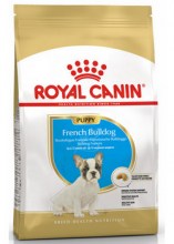 royalcaninfrenchbulldogpuppydry0001