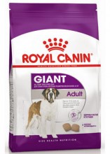 royalcaningiantadultdry0001