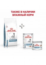 royalcaninhypoallergeniccaninedr21dry0008