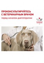 royalcaninhypoallergeniccaninedr21dry0009