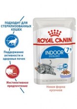 royalcaninindoor7plusjelly0002