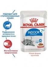 royalcaninindoor7plussauce0002