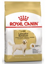 royalcaninlabradorretrieveradultdry0001