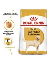 royalcaninlabradorretrieveradultdry0002