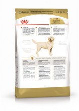 royalcaninlabradorretrieveradultdry0003