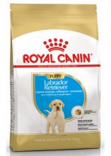 royalcaninlabradorretrieverpuppydry0001