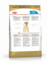 royalcaninlabradorretrieverpuppydry0003