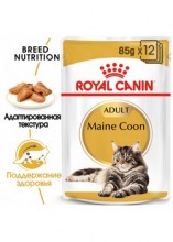 royalcaninmainecoonadultsauce0002