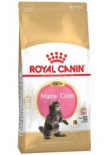 royalcaninmainecoonkittendry0001