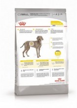 royalcaninmaxidermacomfortdry0003