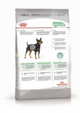 royalcaninminidigestivedry0003