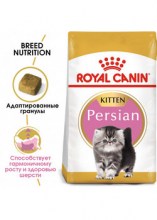 royalcaninpersiankittendry0002