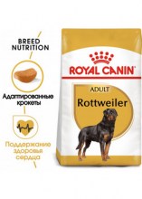 royalcaninrottweileradultdry0002