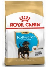 royalcaninrottweilerpuppydry0001