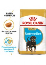 royalcaninrottweilerpuppydry0002