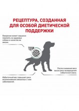 royalcaninsatietyweightmanagementcaninedry0003