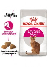 royalcaninsavourexigentdry0002