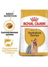 royalcaninyorkshireadultdry0002