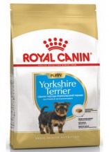 royalcaninyorkshirepuppydry0001