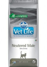 vet-life-cat-neutered-male-370x600