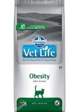 vet-life-cat-obesity-370x600