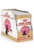 Royal Canin Maine Coon Kitten Корм консервированный для котят породы Мэйн Кун до 15 месяцев, соус Royal Canin Maine Coon Kitten Корм консервированный для котят породы Мэйн Кун до 15 месяцев, соус