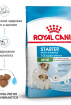 Royal Canin Mini Starter Mother & Babydog Корм для щенков мелких размеров до 2-х месяцев, беременных и кормящих сук Royal Canin Mini Starter Mother & Babydog Корм для щенков мелких размеров до 2-х месяцев, беременных и кормящих сук