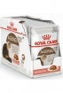 Royal Canin Ageing 12+ Корм консервированный для стареющих кошек от 12 лет (мелкие кусочки в соусе) Royal Canin Ageing 12+ Корм консервированный для стареющих кошек от 12 лет (мелкие кусочки в соусе)
