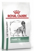 Royal Canin Diabetic DS 37 Canine Корм сухой диетический для взрослых собак при сахарном диабете Royal Canin Diabetic DS 37 Canine Корм сухой диетический для взрослых собак при сахарном диабете