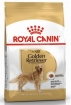 Royal Canin Golden Retriever Корм сухой для взрослых собак породы Голден Ретривер от 15 месяцев Royal Canin Golden Retriever Корм сухой для взрослых собак породы Голден Ретривер от 15 месяцев