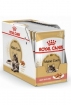Royal Canin Maine Coon Adult Корм консервированный для взрослых кошек породы Мэйн Кун, соус Royal Canin Maine Coon Adult Корм консервированный для взрослых кошек породы Мэйн Кун, соус