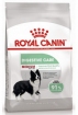 Royal Canin Medium Digestive Care Корм сухой для взрослых собак средних размеров с чувствительным пищеварением Royal Canin Medium Digestive Care Корм сухой для взрослых собак средних размеров с чувствительным пищеварением