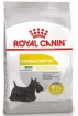 Royal Canin Mini Dermacomfort Корм сухой для взрослых собак мелких размеров при раздражениях и зуде кожи Royal Canin Mini Dermacomfort Корм сухой для взрослых собак мелких размеров при раздражениях и зуде кожи