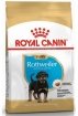 Royal Canin Rottweiler Puppy Корм сухой  для щенков породы Ротвейлер до 18 месяцев, 12кг Royal Canin Rottweiler Puppy Корм сухой  для щенков породы Ротвейлер до 18 месяцев, 12кг